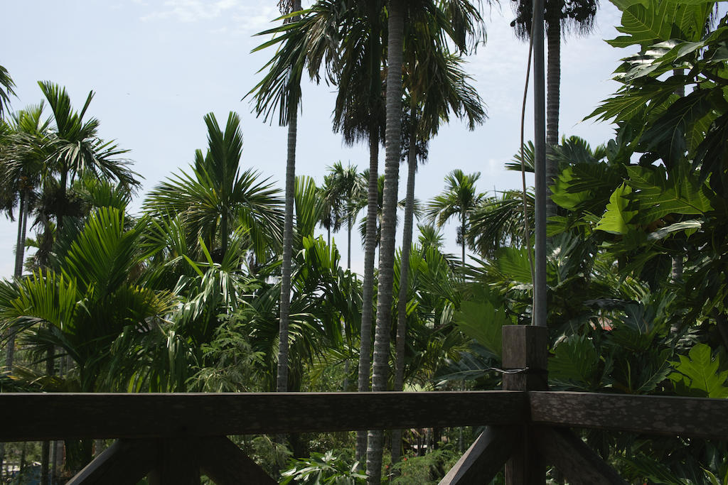 Lila Homestay Hoi An Exterior photo